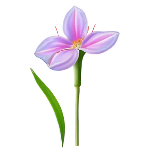 Single Flower Outline Png 51 PNG Image