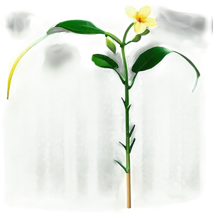 Single Flower Stem Png Eyd70 PNG Image