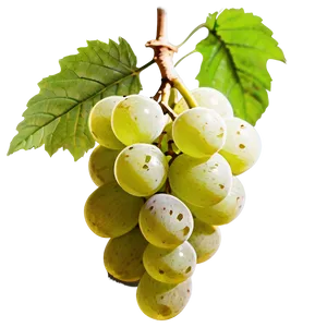 Single Fresh Grape Png Onc58 PNG Image