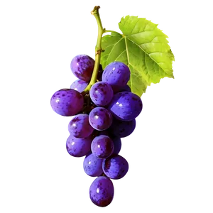 Single Fresh Grape Png Yme14 PNG Image