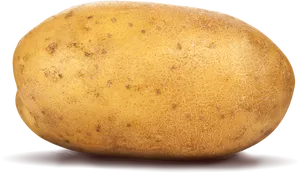 Single Fresh Potato Isolated PNG Image