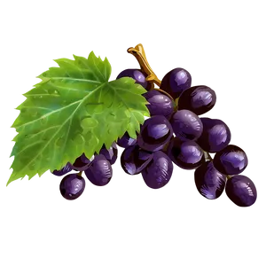 Single Grape C PNG Image