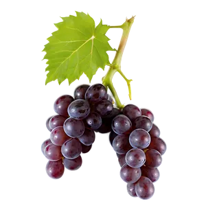 Single Grape Isolated Png Wuh PNG Image