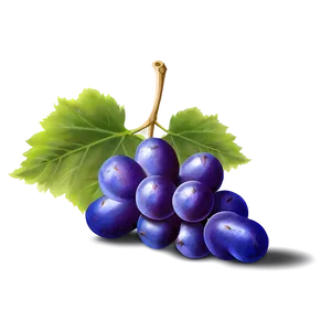 Single Grape Png Hrr PNG Image