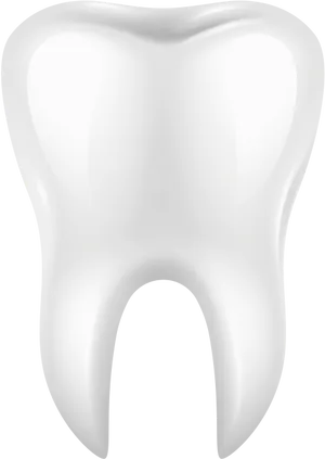 Single Healthy Tooth Graphic PNG Image