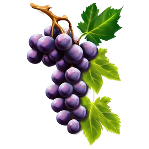 Single Juicy Grape Png 06292024 PNG Image