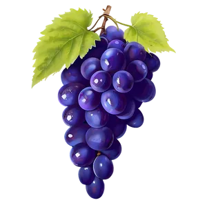 Single Purple Grape Png Mlw PNG Image