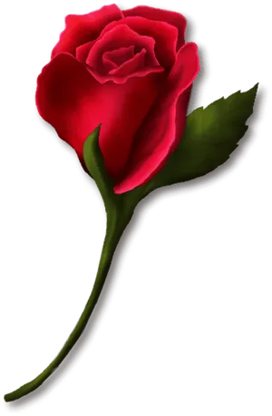 Single Red Rose Transparent Background PNG Image