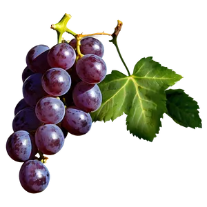 Single Seedless Grape Png Pcs PNG Image