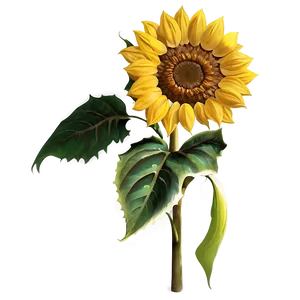 Single Sunflower Transparent Png Rgg PNG Image