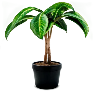 Single Tall Plant Png Itp60 PNG Image