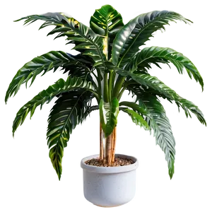 Single Tall Plant Png Mtk85 PNG Image