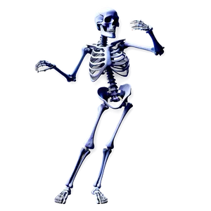 Skeleton Doing Dance Moves Png 06282024 PNG Image