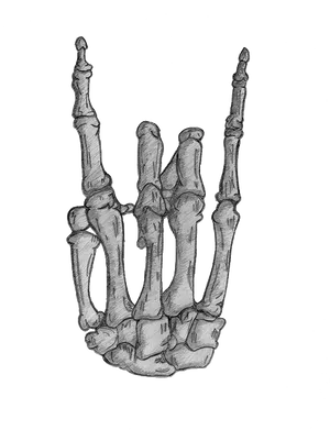 Skeleton Hand Sketch Artwork PNG Image