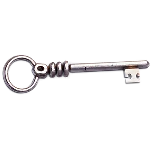 Skeleton Key Graphic Png 33 PNG Image