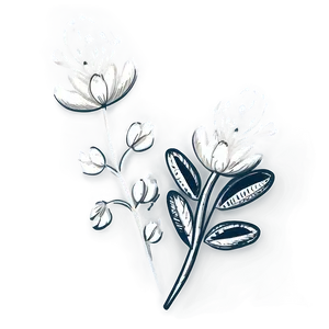 Sketched Black White Flowers Png 06282024 PNG Image