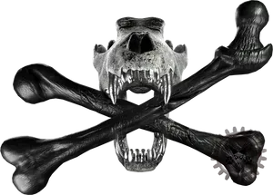 Skull_and_ Crossbones_ Dark_ Background.jpg PNG Image