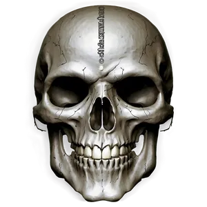 Skull Face Illustration Png 44 PNG Image