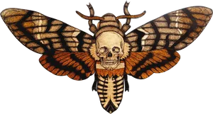 Skull Moth Illustration.png PNG Image