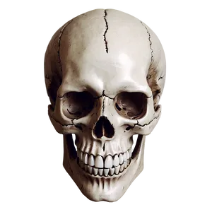 Skull Spin Delirium Png Obt PNG Image