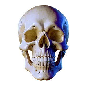 Skull Spin Effect Png Ykg22 PNG Image