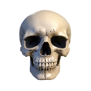 Skull Spinorama Png 56 PNG Image