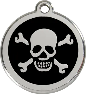 Skulland Crossbones Dog Tag PNG Image