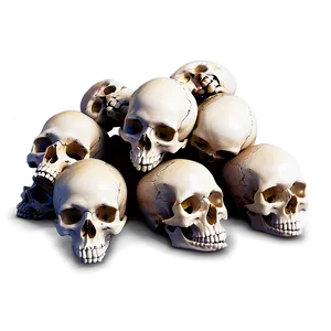 Skulls And Bones Pile Png 06132024 PNG Image