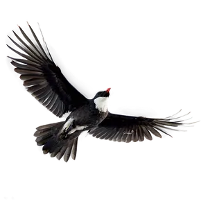 Skyward Bird Flight Png Vtv12 PNG Image