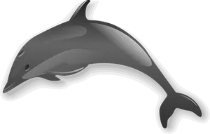 Sleek Gray Dolphin Graphic PNG Image