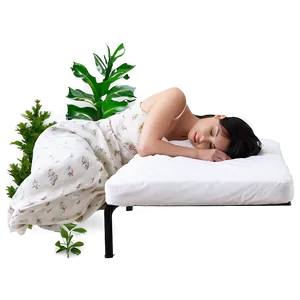 Sleep In Nature PNG 54 PNG