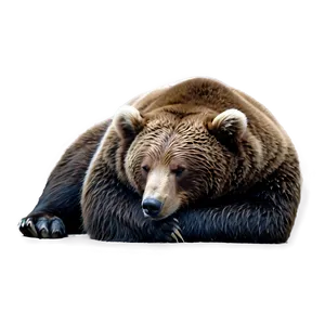 Sleeping Bear Png 78 PNG Image