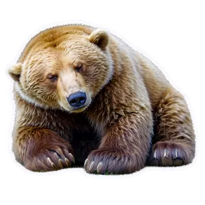 Sleeping Bear Png Cnw5 PNG Image