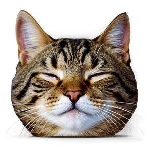 Sleeping Cat Face Png 64 PNG Image