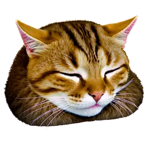 Sleeping Cat Face Png Psp PNG Image