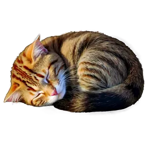 Sleeping Cat Png Jmq PNG Image