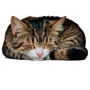 Sleeping Cat Png Njc68 PNG Image