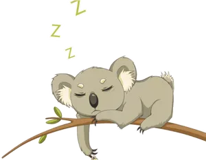 Sleeping Koala Cartoon PNG Image