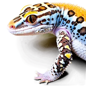 Sleeping Leopard Gecko Png 06202024 PNG Image