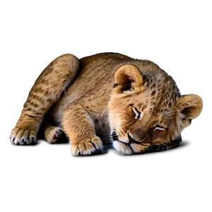 Sleeping Lion Cub PNG 05232024 PNG
