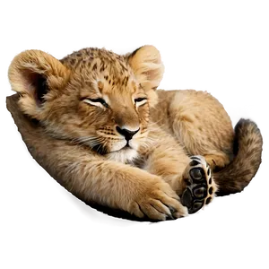 Sleeping Lion Cub PNG 83 PNG