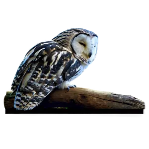 Sleeping Owl Png Keb PNG Image