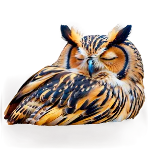 Sleeping Owl Png Kxk PNG Image