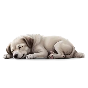 Sleepy Small Dog Drawing Png 06252024 PNG Image