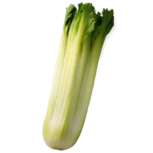 Sliced Celery Png 06252024 PNG Image