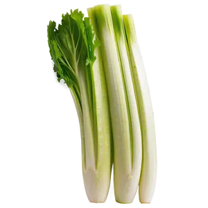 Sliced Celery Png 06252024 PNG Image