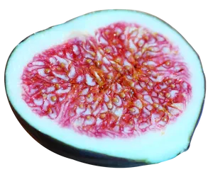 Sliced Fig Cross Section PNG Image