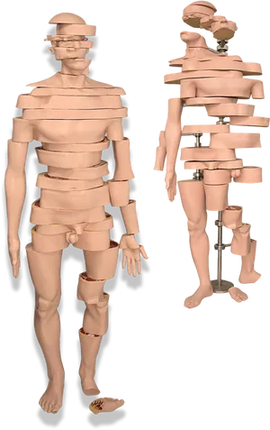 Sliced Mannequin Display PNG Image