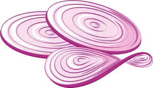 Sliced Onion Illustration PNG Image