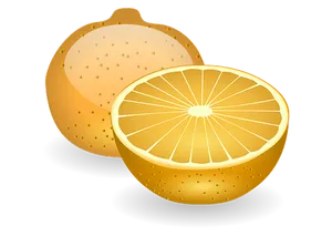 Sliced Orange Illustration PNG Image